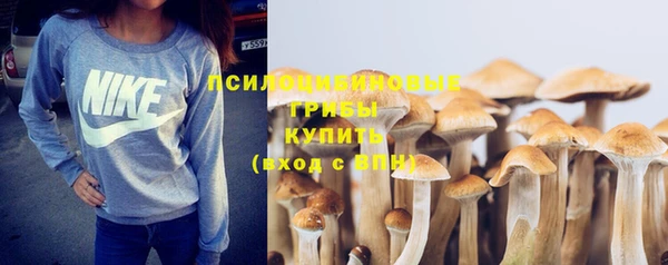 трава Алзамай