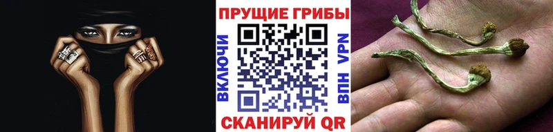 Псилоцибиновые грибы MAGIC MUSHROOMS  ОМГ ОМГ маркетплейс  Поронайск  где купить наркотик 